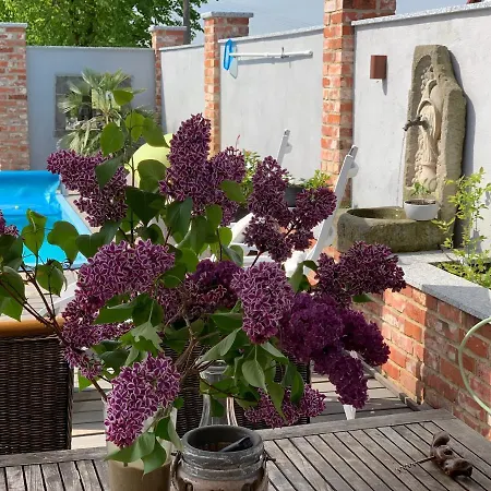 Alte Schmiede Mit Sauna, Pool Und Whirpool Im Aussenbereich Schoenstes Der Lausitz 別荘 *