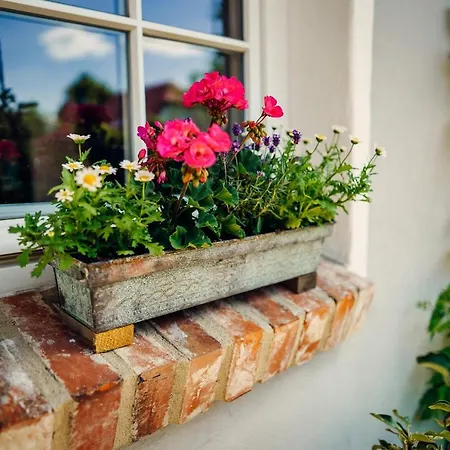 Alte Schmiede Mit Sauna, Pool Und Whirpool Im Aussenbereich Schoenstes Der Lausitz * Elsterheide